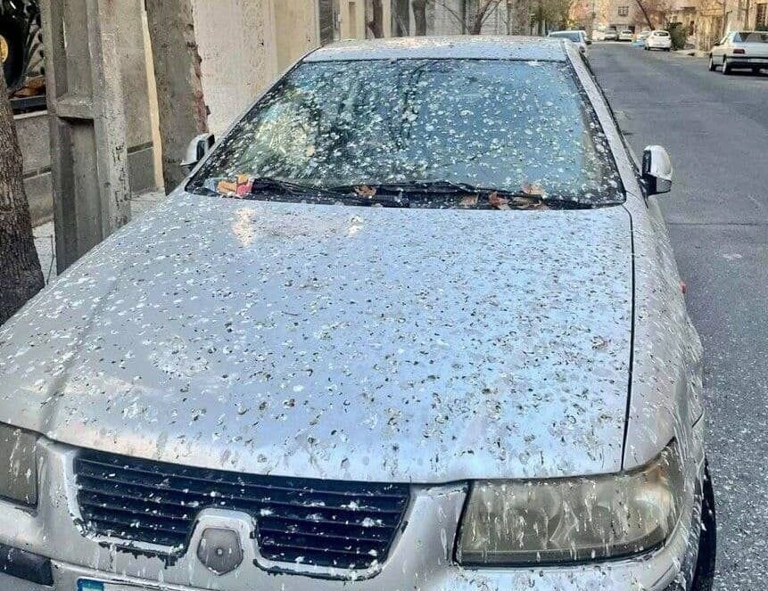 ترس از کلاغ‌ها؛ اینجا برای قدم زدن چتر لازم است
