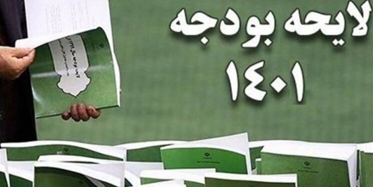 بودجه‌نویسان به آسیب‌های اجتماعی بی‌مهری کرده‌اند