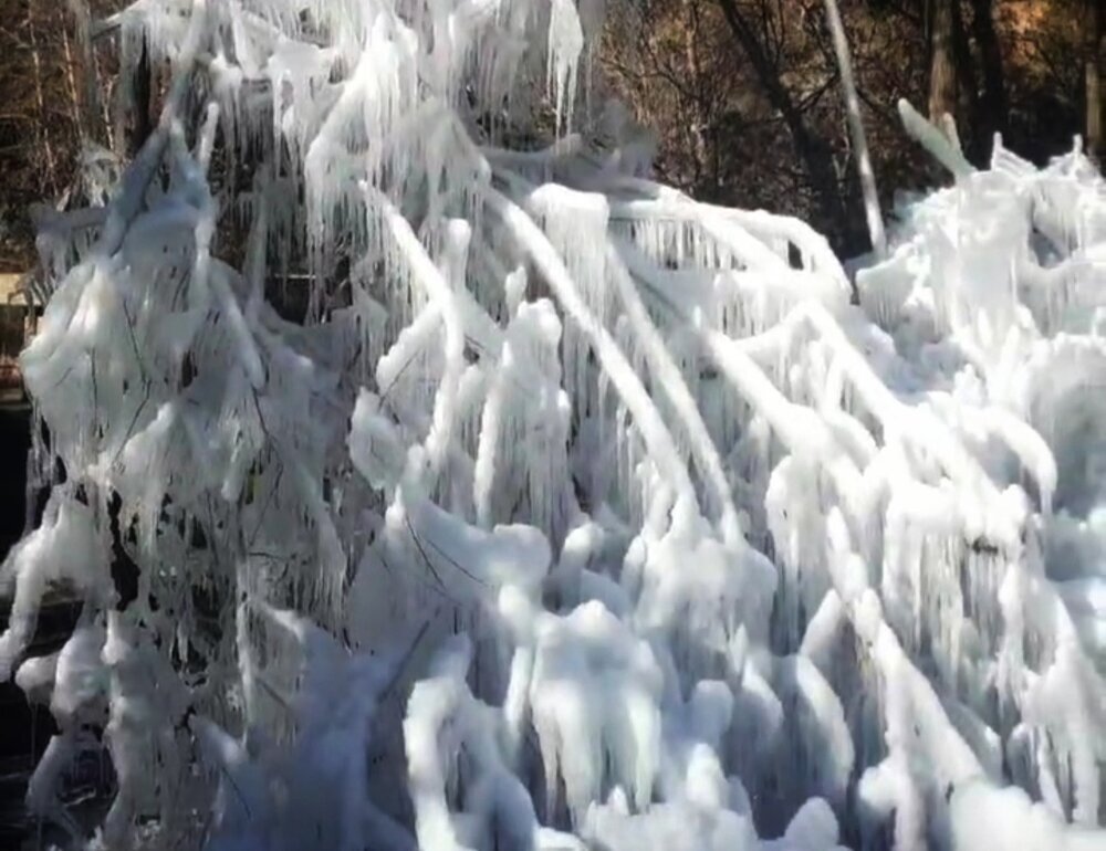 سلفی با قندیل در آبشار یاسوج
