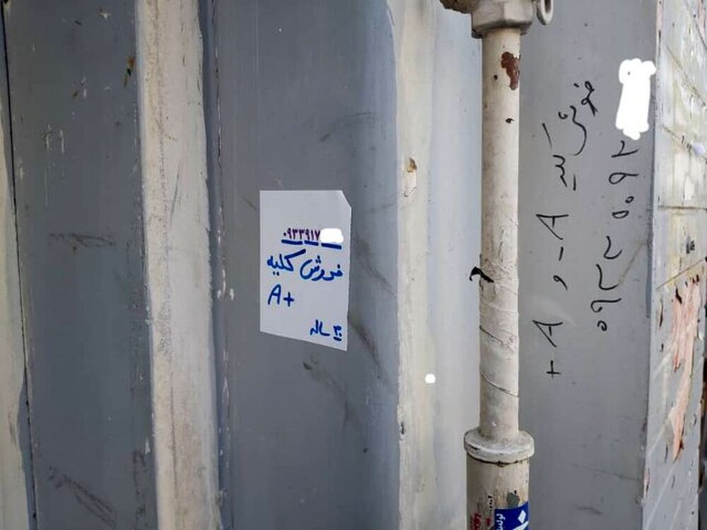 ۲۱۴۶ بیمار در صف پیوند کلیه/ هشدار درباره دیوارنوشته‌های کلیه‌فروشی