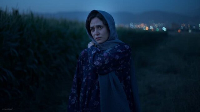 کناره‌گیری «ملاقات خصوصی» از داوری جشنواره فجر+سند