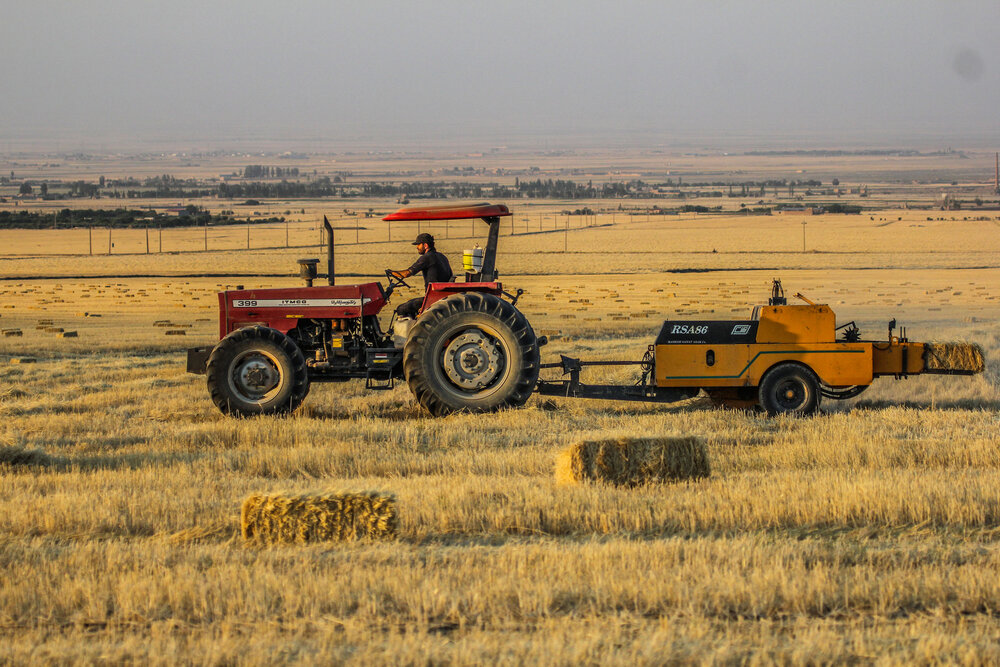 اشتغال‌زایی بزرگ وزارت کار و کمیته امداد