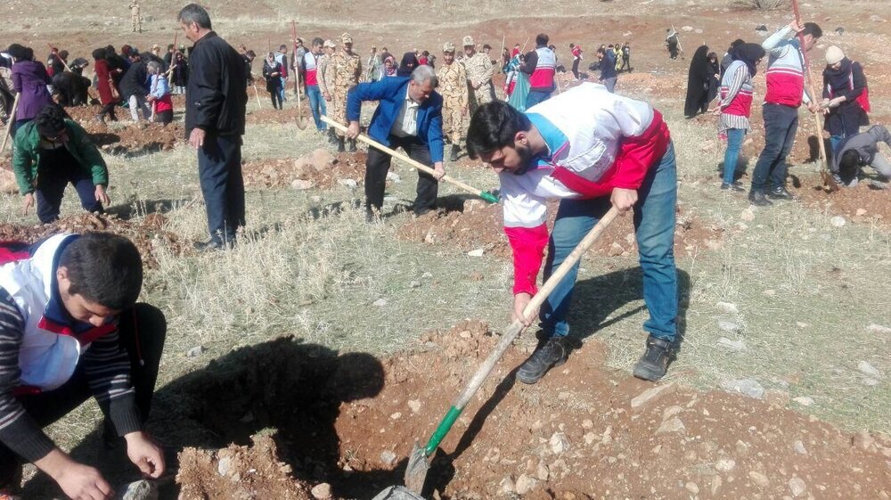 نهالکاری در ۱۱۰۰هکتار از اراضی تهران