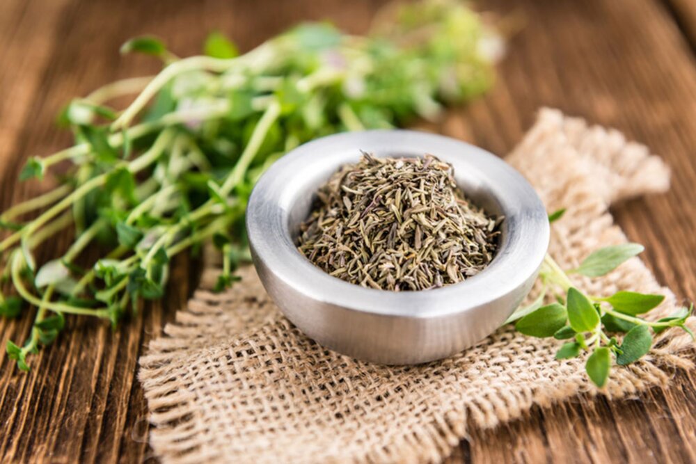 درباره آویشن و خواص بیشمار آن