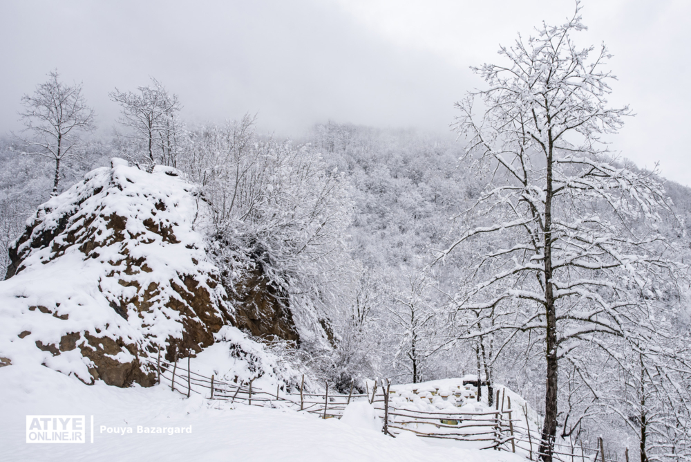 بارش برف و باران در اغلب مناطق کشور از عصر امروز