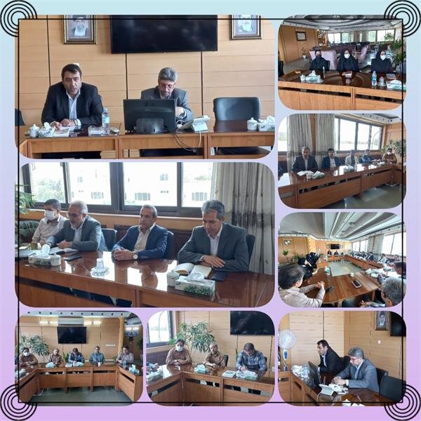 نشست تخصصی مدیرکل تعاون، کار و رفاه اجتماعی خراسان رضوی با مدیریت و کارشناسان امور تعاون برگزار شد