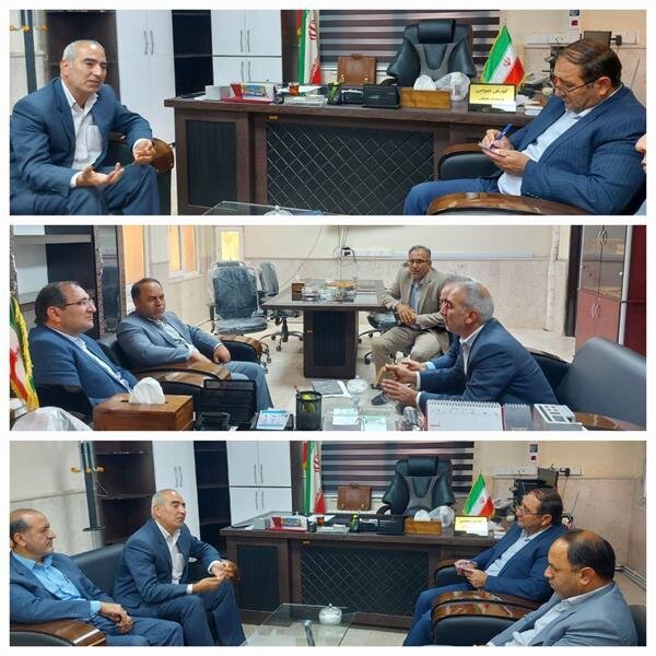 دیدار مدیرکل تعاون، کار و رفاه اجتماعی استان ایلام با فرماندار هلیلان