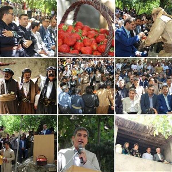 جشن شکرگزاری و جشنواره توت فرنگی روستای شیان برگزار شد