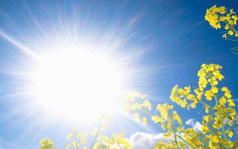 آفتاب مردان را گرسنه‌ می‌کند