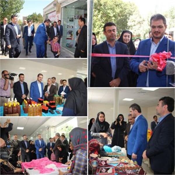 افتتاح کارگاه عروسک سازی کوتاه قامتان بهزیستی