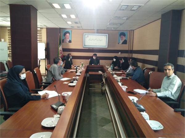 سومین جلسه کمیته تخصصی مشاغل خانگی