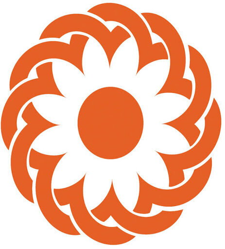 کسب رتبه عالی بهزیستی ایلام در شاخص های نظارتی