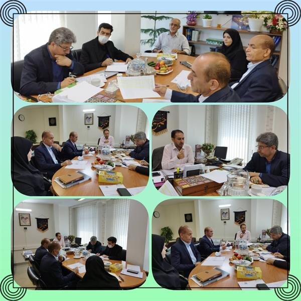 نشست مدیرکل امور استانهای وزارت و مدیرکل تعاون، کار و رفاه اجتماعی استان خراسان رضوی