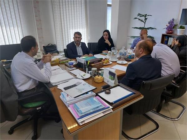 استفاده حداکثری از ظرفیت شورای هماهنگی تعاون، کار و رفاه اجتماعی در استان ها