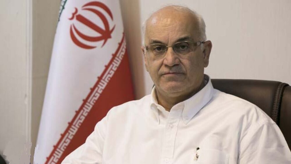 ایران نیازمند خطوط کشتیرانی برای توسعه رابطه با آفریقا