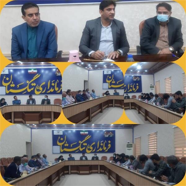 برگزاری جلسه کارگروه اقتصادی، سرمایه گذاری و اشتغال شهرستان تنگستان