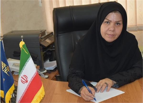 ارائه خدمات ویژه اشتغال اتباع خارجی، الکترونیکی شد