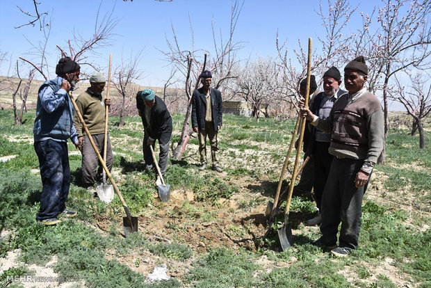 آغاز اجرای آزمایشی بیمه تکمیلی روستائیان در سه استان