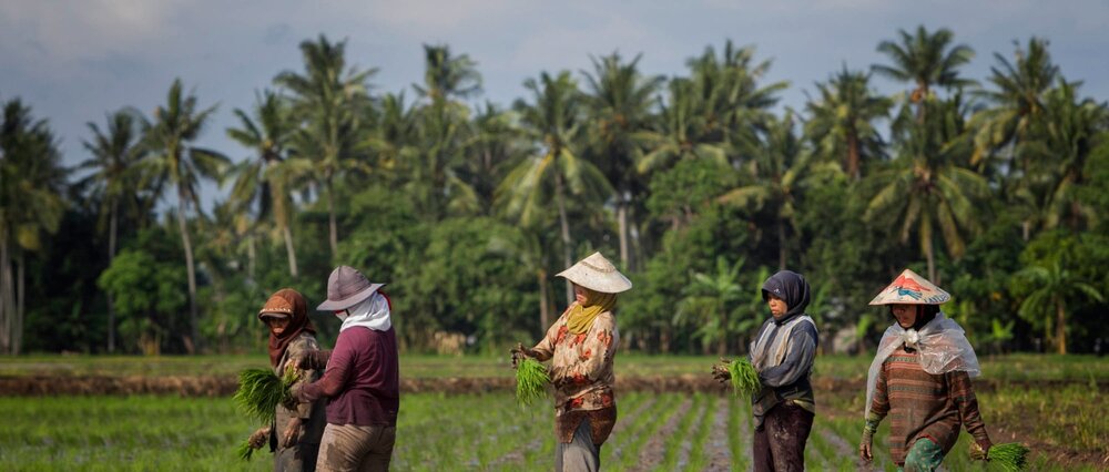پاسداشت حافظان امنیت غذایی جهان