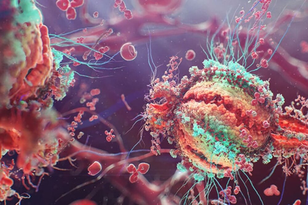 شیوع سویه ایمنی‌گریز «ایکس‌بی‌بی» در آسیا