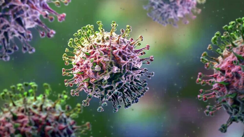 سویه‌ها و زیرسویه‌های جدید کرونا همچنان شیوع دارد