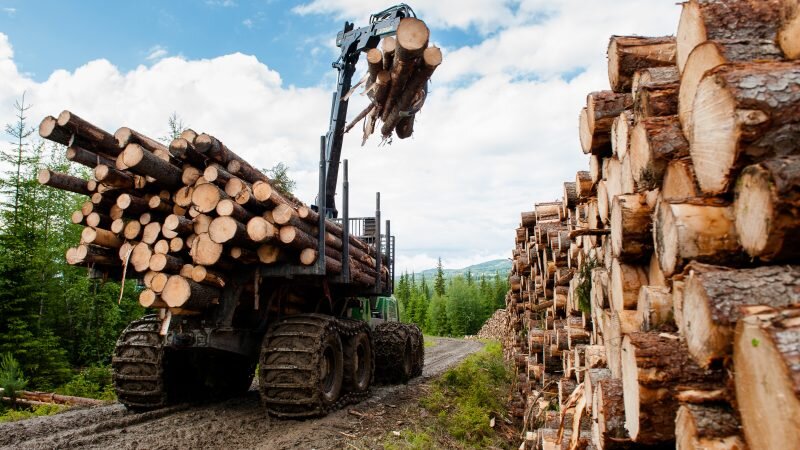 کشف ۲ تن چوب قاچاق در دلفان