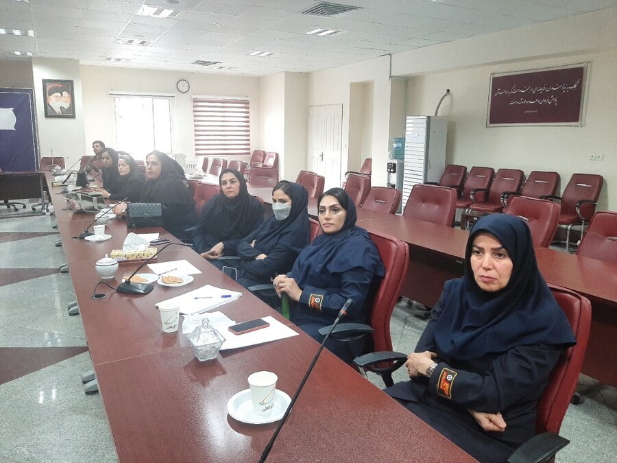 کارگاه آموزشی پیشگیری از آسیب های سالمند آزاری برگزار شد 