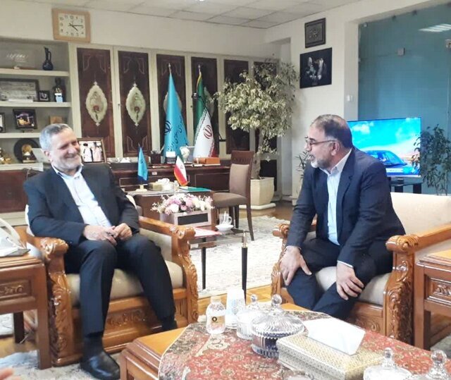 حمایت وزارت تعاون ، کارو رفاه اجتماعی در اشتغالزایی لرستان