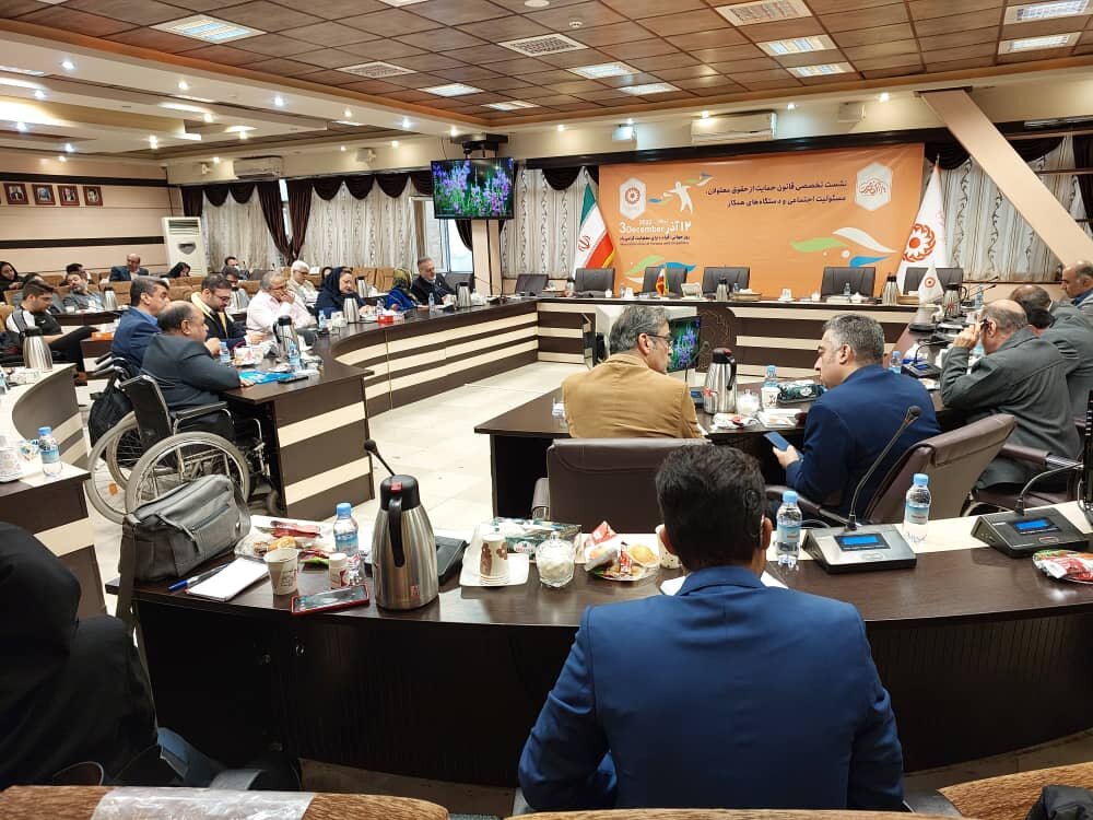  نقش اثرگذار معلولان در سایه اجرای قانون پررنگ‌تر می‌شود