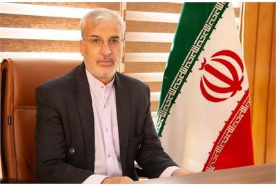 بیش از ۷۱۷ میلیارد ریال تسهیلات مشاغل خانگی در همدان پرداخت شد