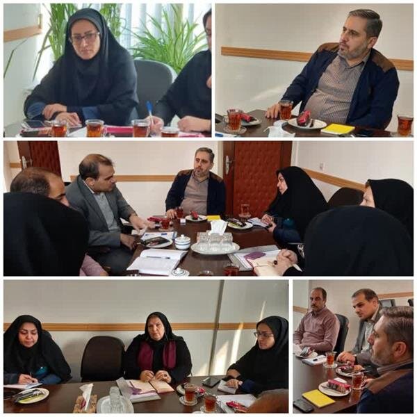 طرح سالمند یار در تهران اجرا می شود