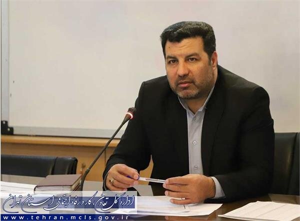 اعطای تسهیلات مشاغل خانگی به ۳۰ طرح در استان تهران