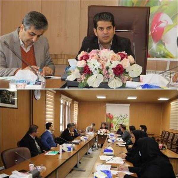 جلسه کمیته فنی تسهیلات اشتغال پایدار روستایی در کردستان برگزار شد