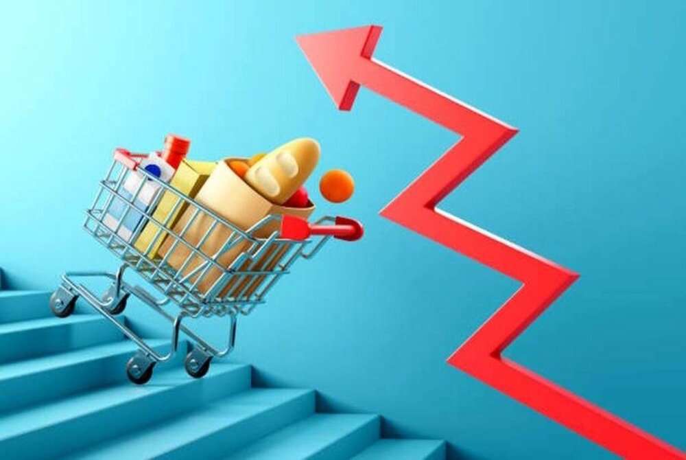 وابستگی به واردات کالاهای اساسی از عوامل مهم افزایش تورم است