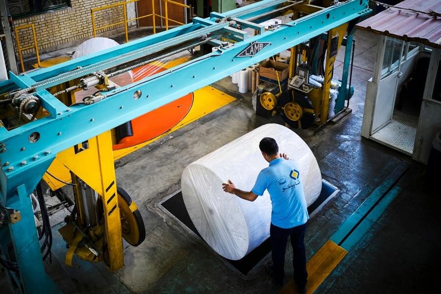 تداوم عرضه منظم تیشو جهت تنظیم بازار سلولزی کشور