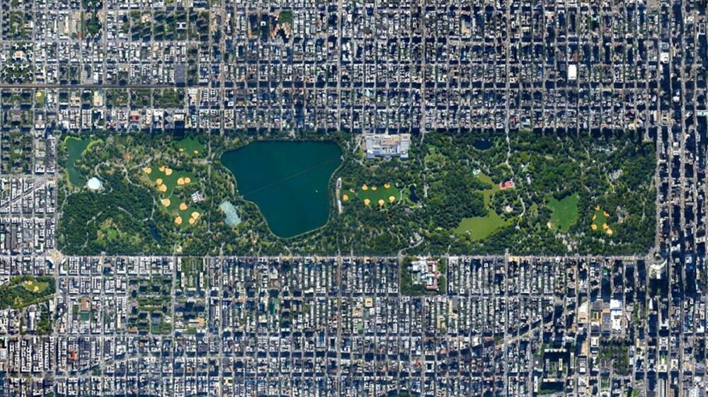 جنگل‌داری در شهر