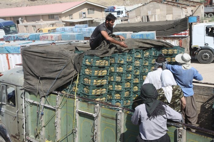 کارگران مرز پرویز خان در قصرشیرین ساماندهی می شوند