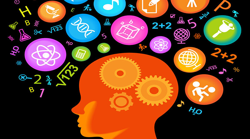 این غذاها شما را باهوش می‌کند