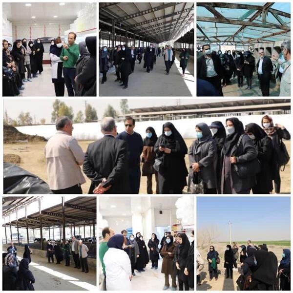 اجرای تور ترویجی تعاون در ورامین