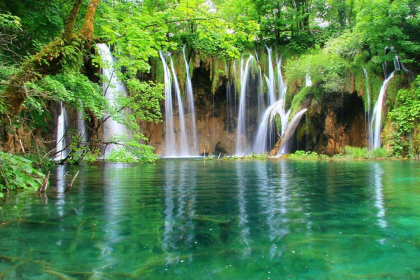 قطعه ۲۳- از طبیعت بیاموز