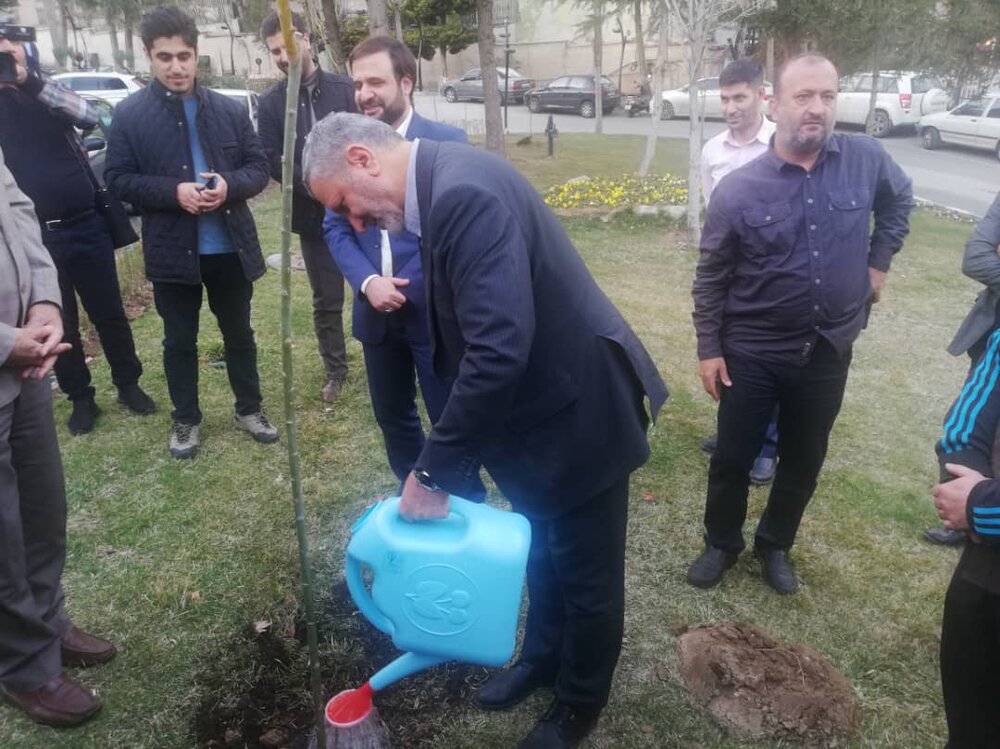 کاشت درخت توسط وزیر کار و مدیرعامل سازمان تامین‌اجتماعی