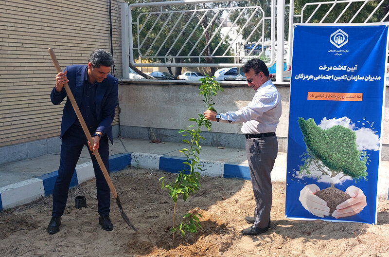 برگزاری آیین کاشت نهال از سوی مدیران تأمین‌اجتماعی هرمزگان