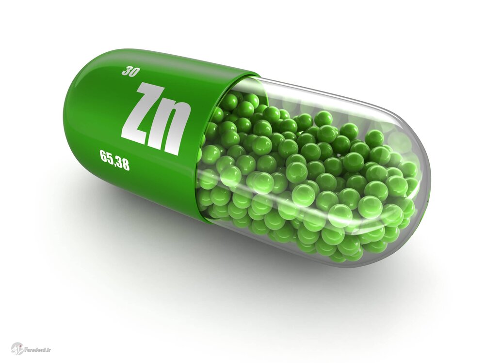 نیاز بدن به زینک و عوارض کمبود زینک در بدن چیست؟