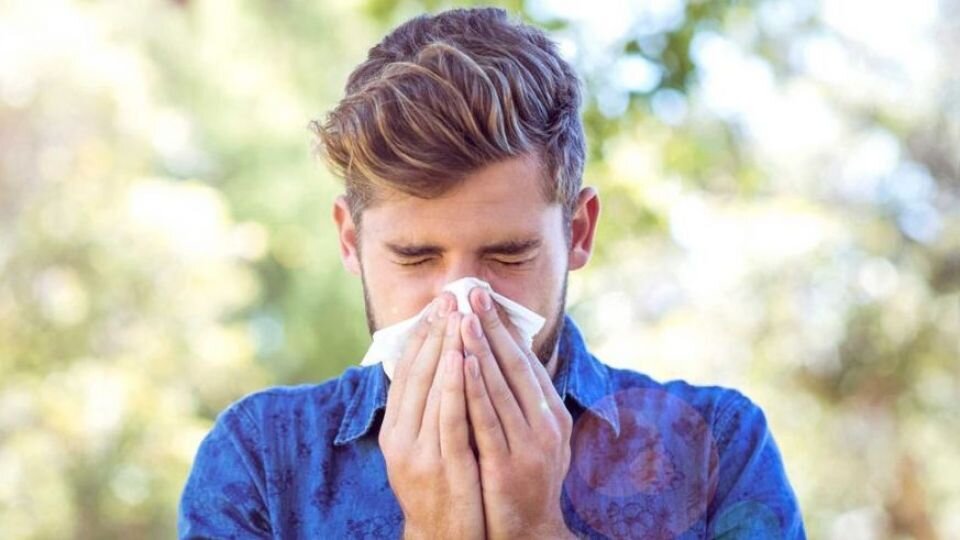 ۱۰ عامل تحریک کننده آلرژی