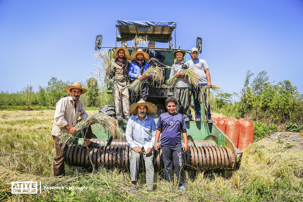 فرهنگ کار؛ راهکار توسعه تولید و اشتغال