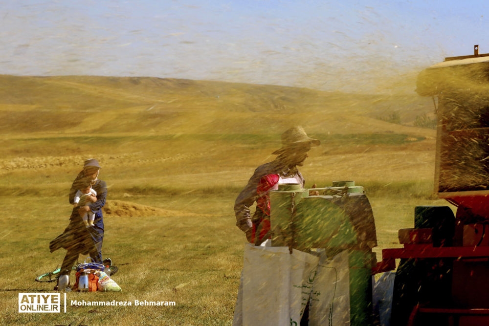 چند نما از زندگی کارگران 