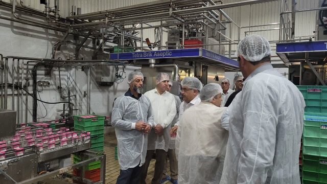 برگزاری مشاوره‌های کارگاهی و دوره‌های آموزشی رابطین بیمه‌ای کارگاه‌ها در لرستان