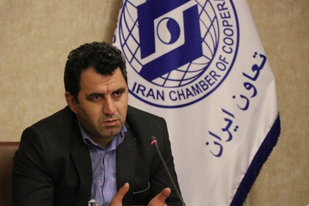 بخش تعاون می‌تواند ظرفیت‌های خالی اقتصاد کشور را تکمیل کند