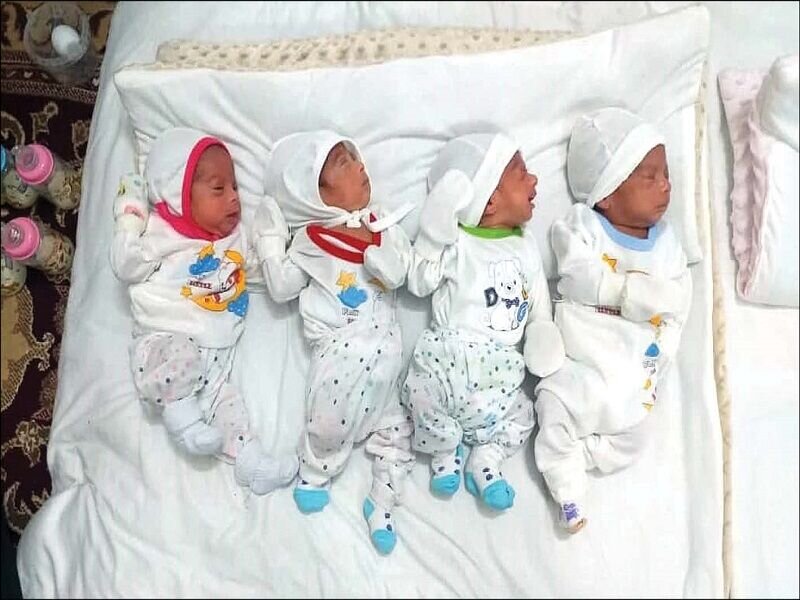 حدود ۳۹ هزار خانوار دارای فرزند چندقلو تحت پوشش سازمان بهزیستی قرار دارند