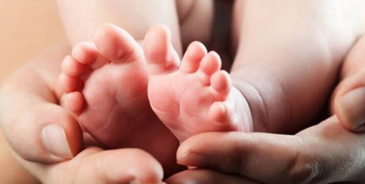 برگزاری کارگروه‌های جمعیت همزمان با روز ملی جمعیت 